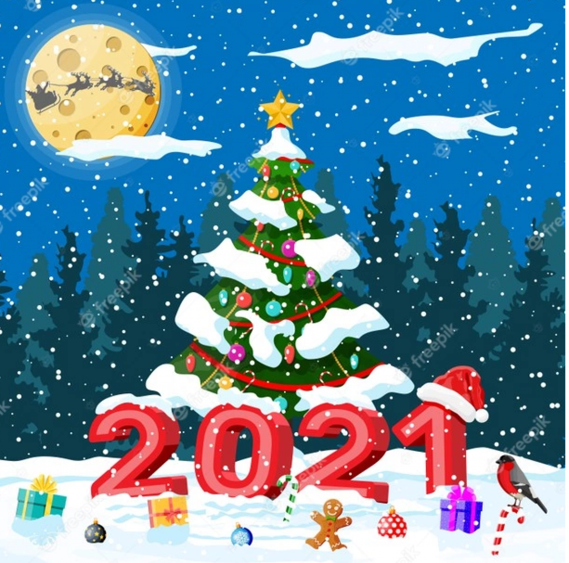Fotos Navidad 2021